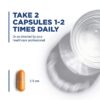 Curcumin capsule size