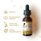 Amber dropper bottle labeled ANANDA PETS HEMP EXTRACT, savory bacon flavor. Icons highlight CBD for pets: THC-free, no unnecessary additives, liquid tincture for easy use, and precise dosing.