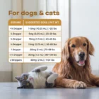 A chart displaying ANANDA PETS HEMP EXTRACT oil dosages by pet weight is shown beside a golden retriever and a gray-and-white cat resting together indoors.