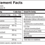 GI revive supplement facts