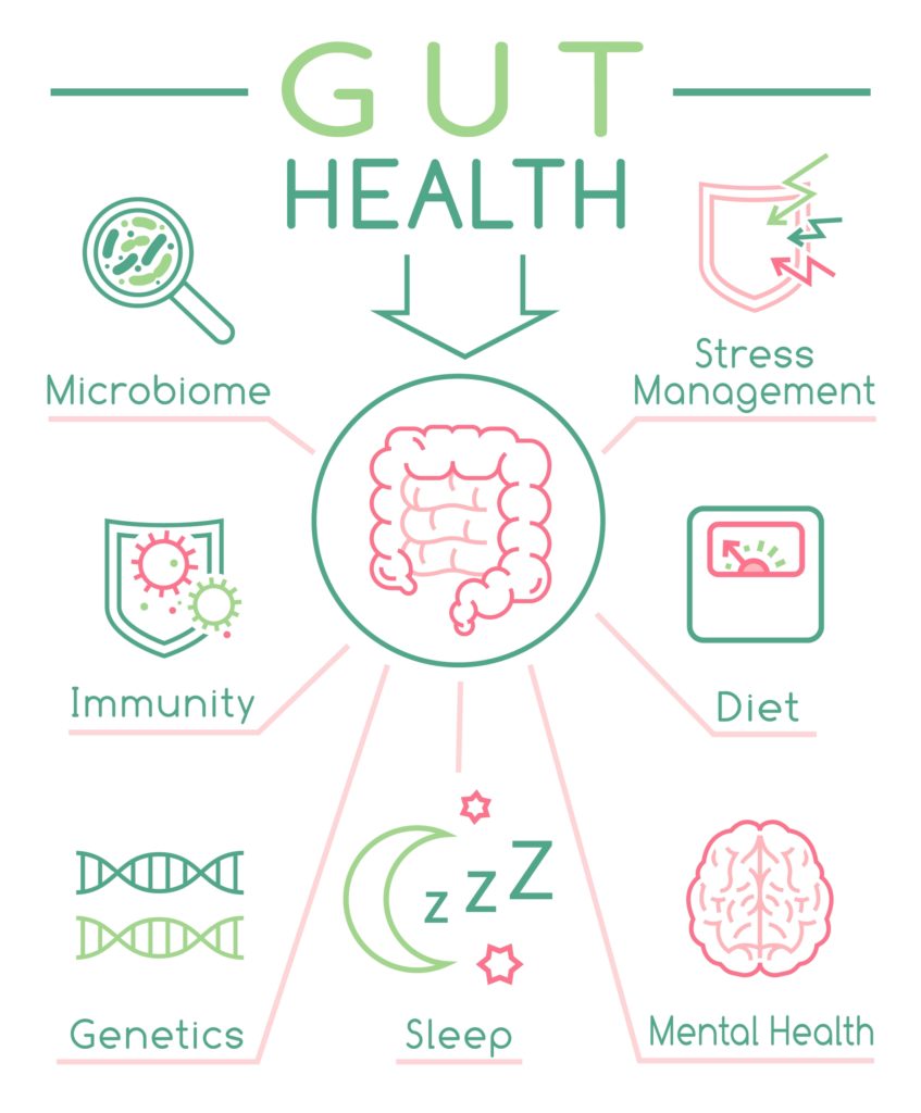 gut health benefits