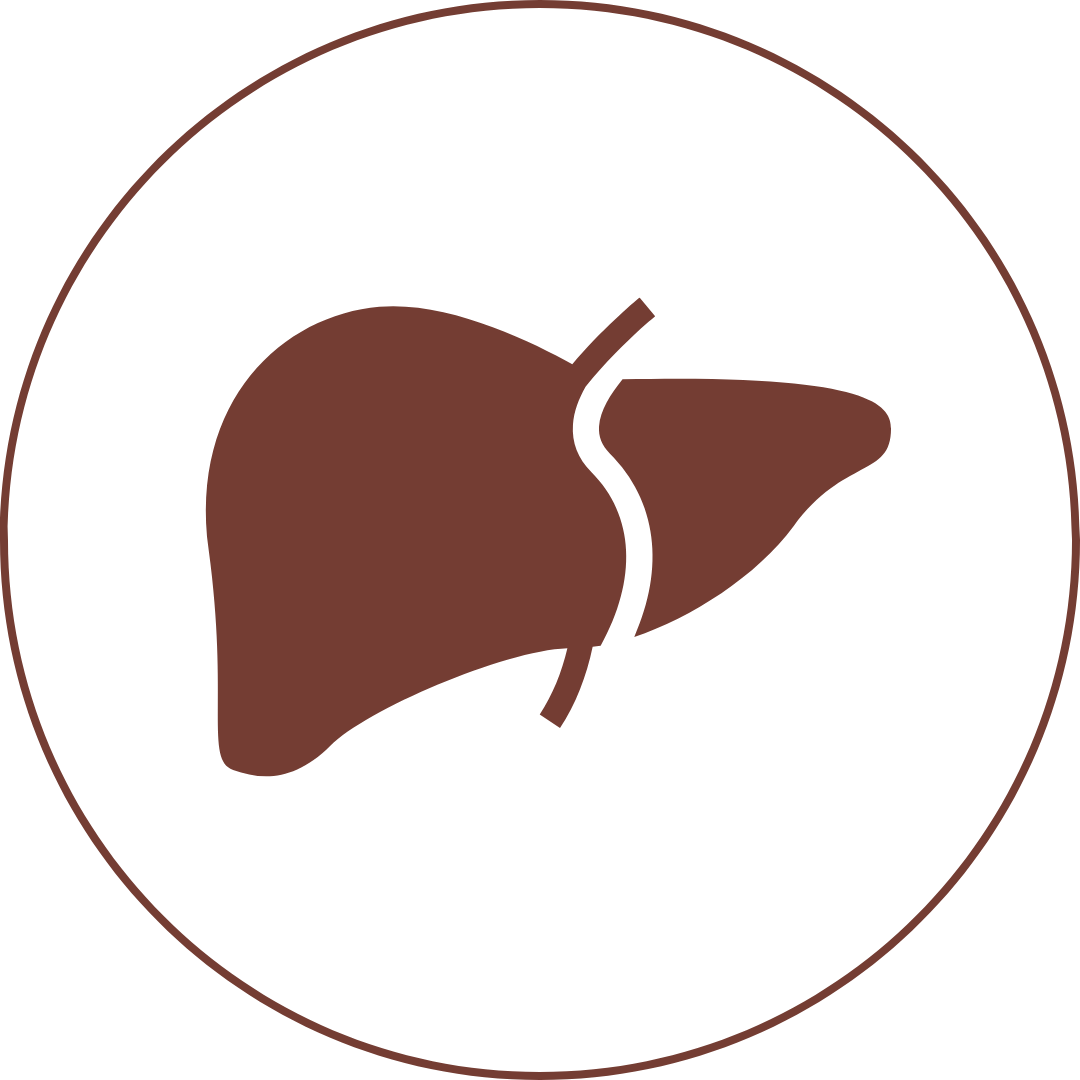Liver and detox category icon