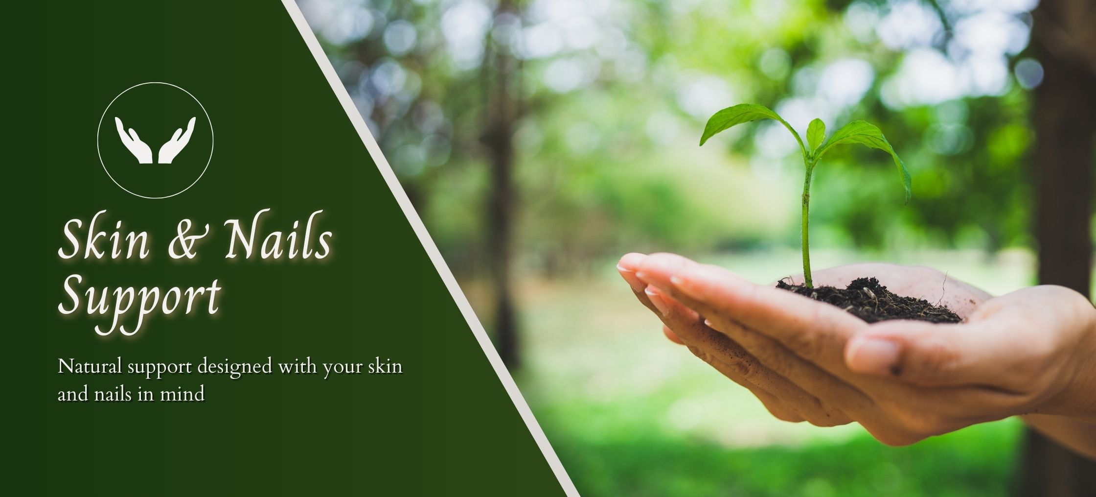 Natural Support for Skin and Nails Banner