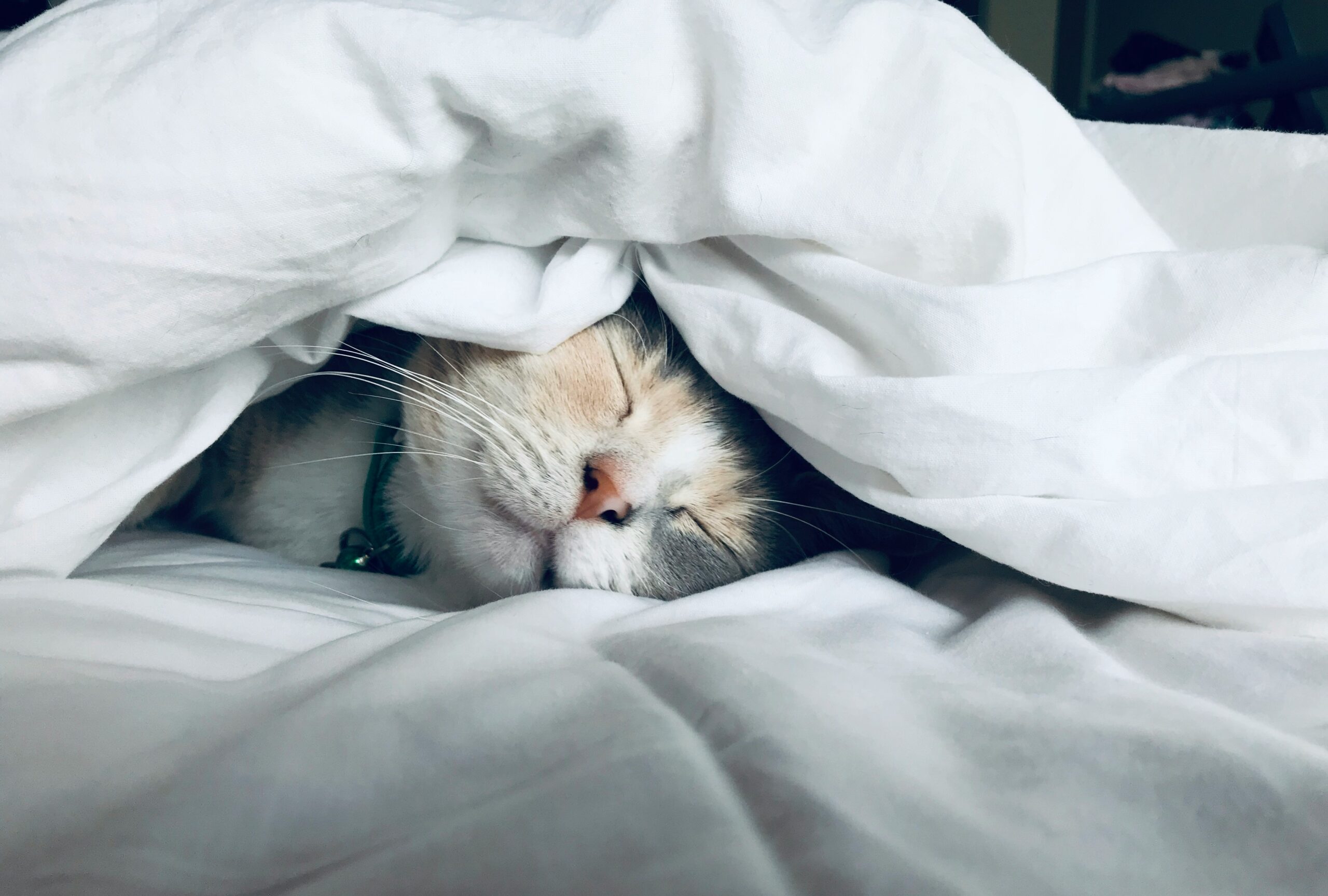 Sleep & Diet: Simple Strategies to Get Better Rest
