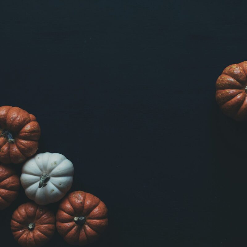 Pumpkins with black background