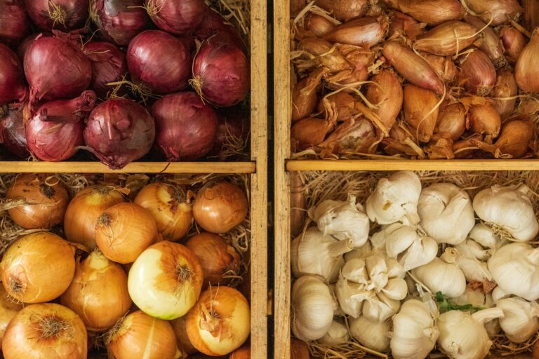 winter vegetables in bins