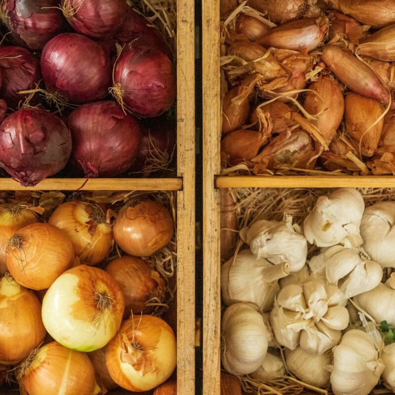 winter vegetables in bins