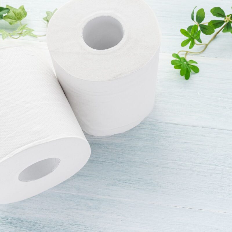 Concept photo of constipation and gut health using toilet paper and plants