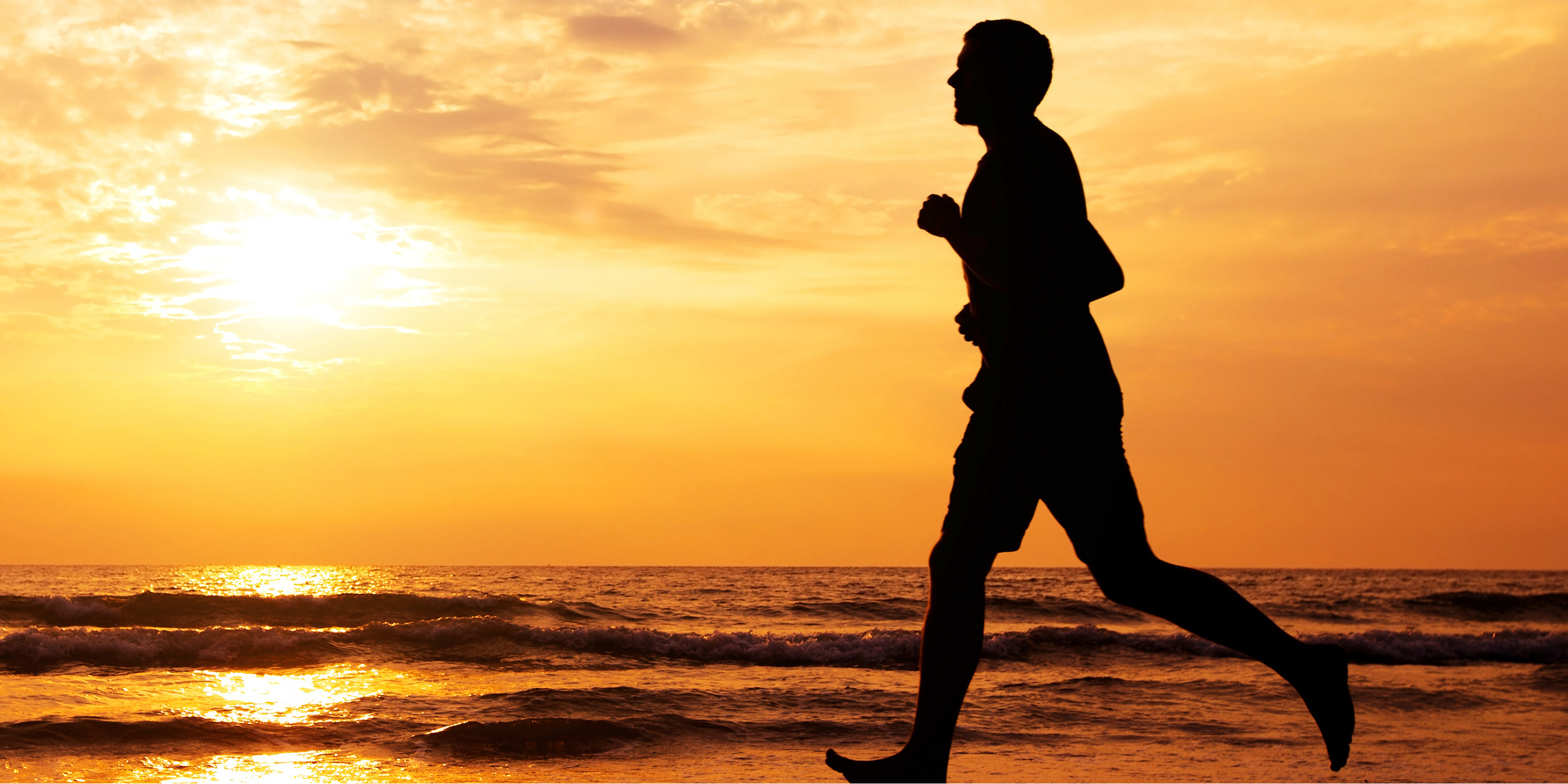 Healthy Joints